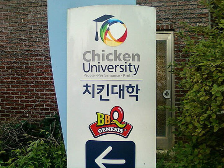 chkuniv08.jpg