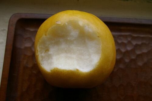 pear02.jpg