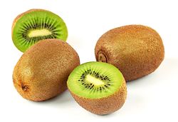 kiwi00.jpg